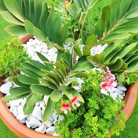 Sunset Spot Fuerteventura Premium Ii Apartamento Corralejo