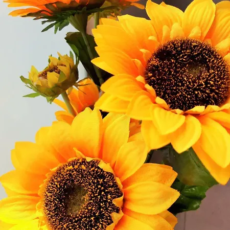 Sunset Spot Fuerteventura Premium Ii Corralejo