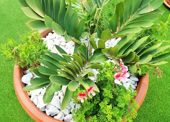 Sunset Spot Fuerteventura Premium Ii Appartement Corralejo